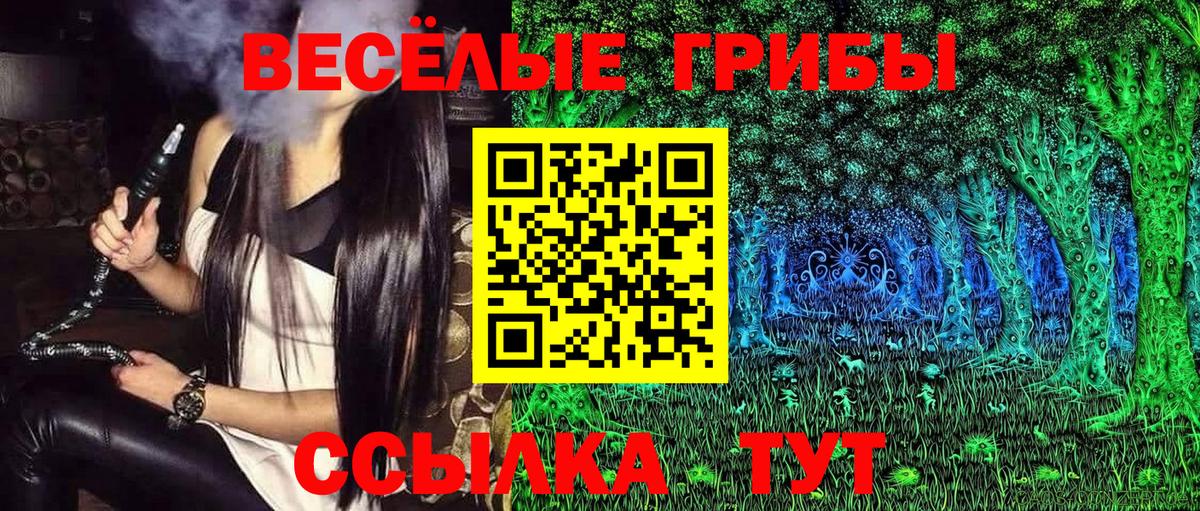 Усть-Джегута  Галлюциногенные грибы GOLDEN TEACHER  Вход с VPN 
