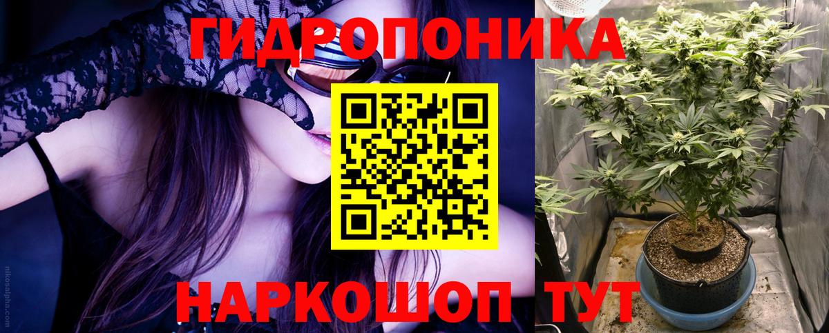 Каннабис Ganja Усть-Джегута